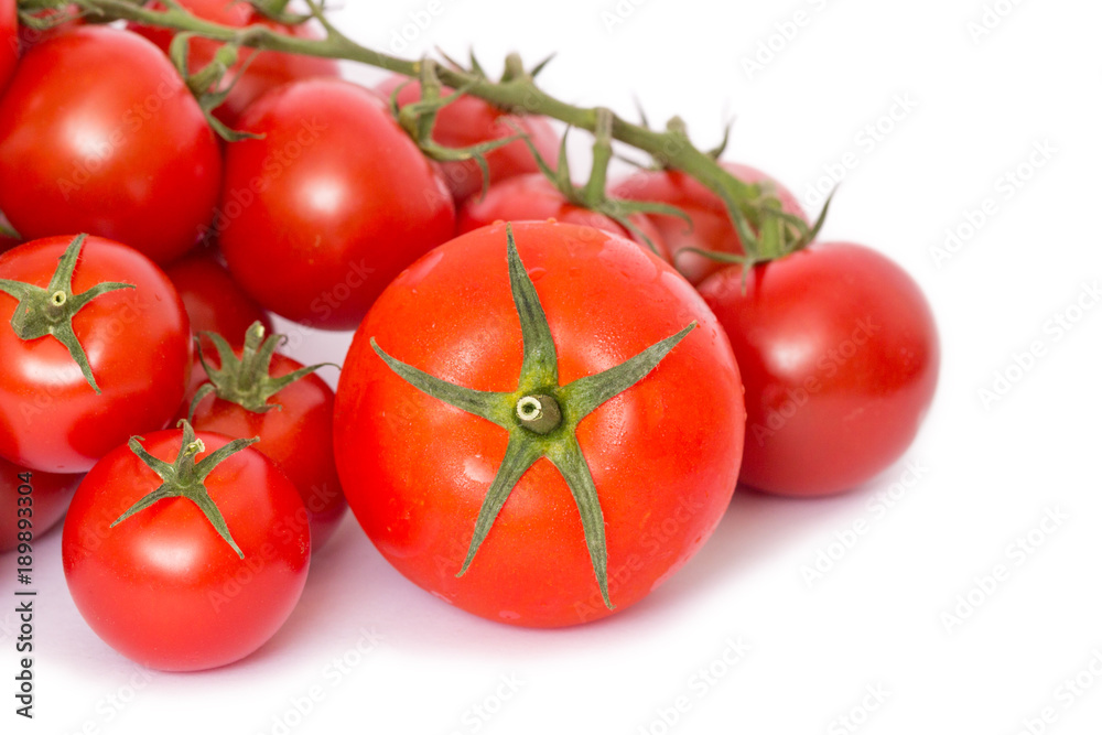 rote frische Tomaten freigestellt auf weißem Hintergrund