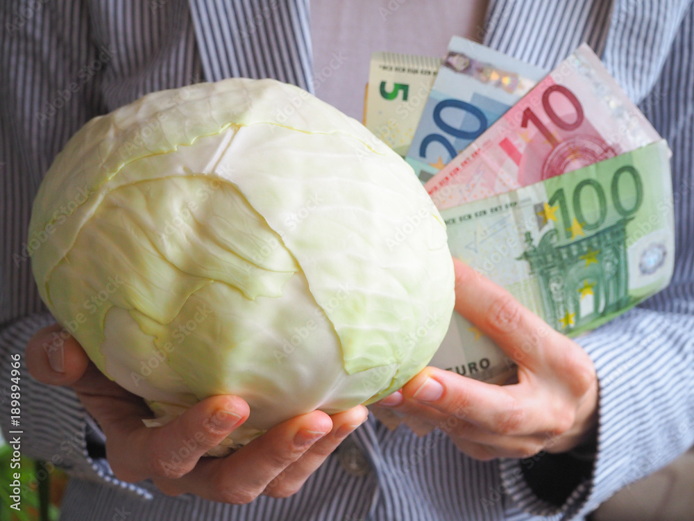 Εκτύπωση καμβά Cabbage and Euro money. Creative concept of money.