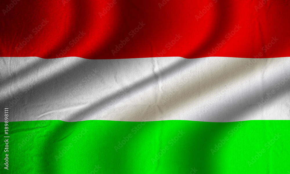 Authentic colorful textile Hungary flag