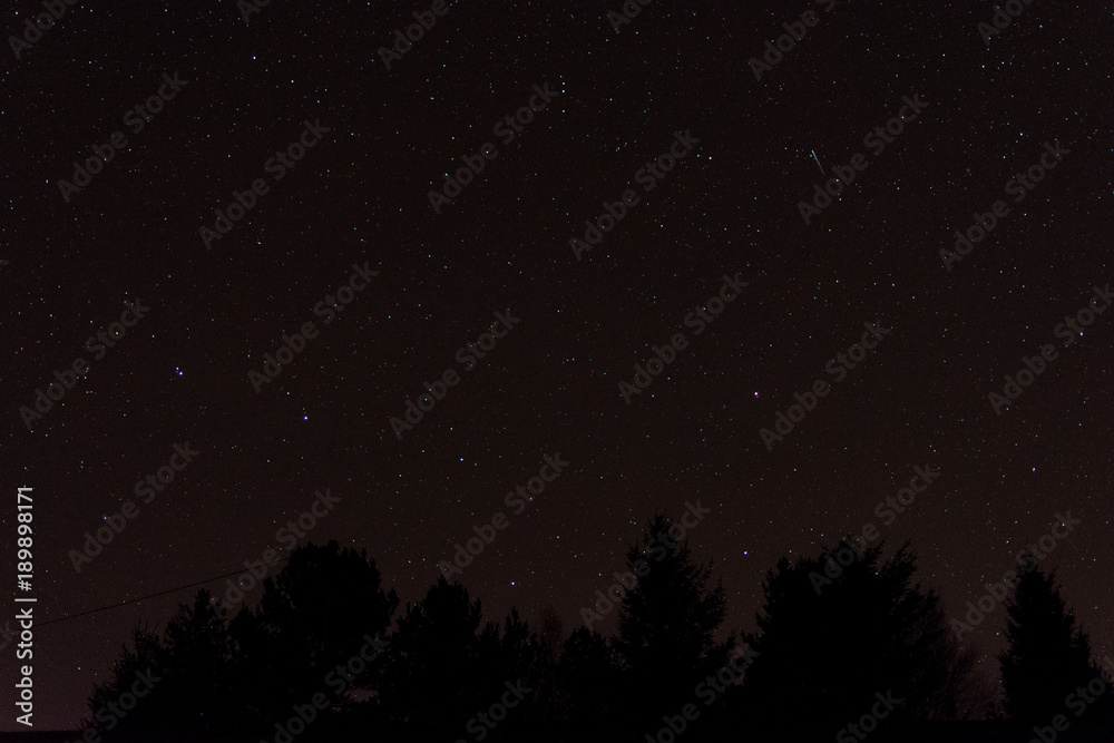 The stars at night with a shooting star, the big dipper and the silhouette of trees in the foreground