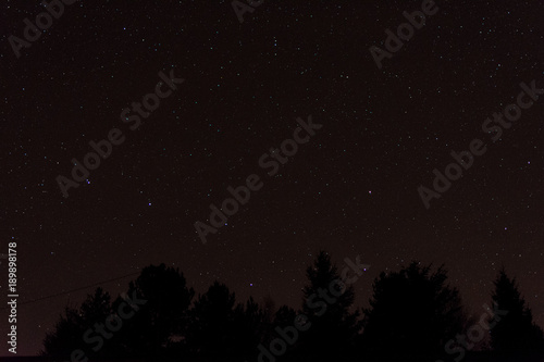 The night sky with the big dipper and the silhouette of trees in the foreground