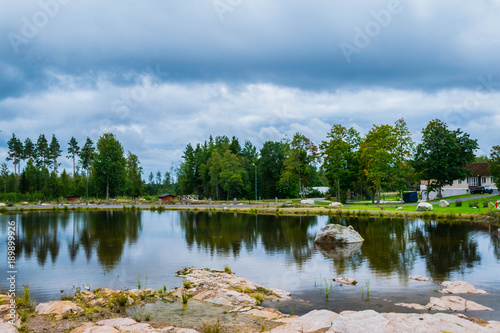 Swedish trees