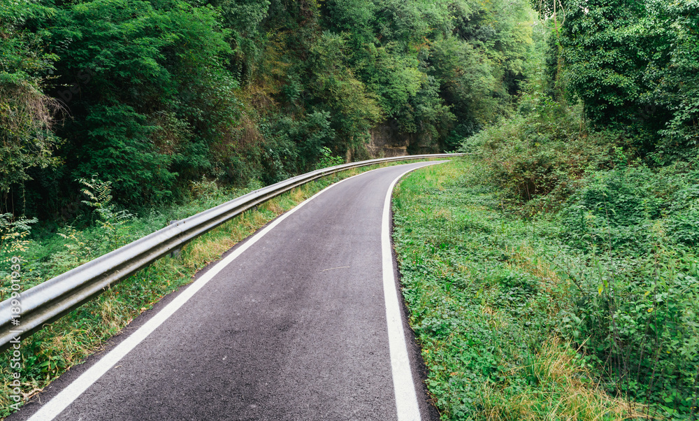 Asphalt cycling path in the woods in nothern Italy Asphalt cycling path in the woods in nothern Italy