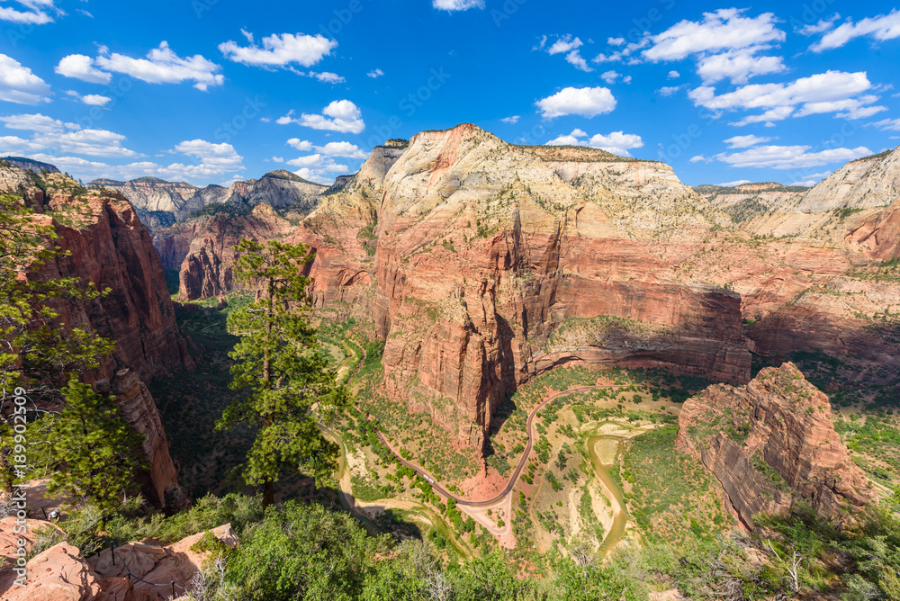 Wide angle panorama view of Zion Canyon, with the virgin river, Angels