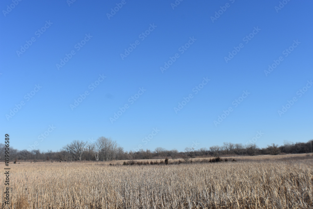 Farm Field Under Blue Sky