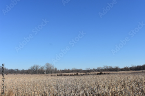 Farm Field Under Blue Sky