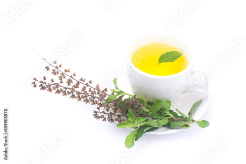 . Tea of holy basil in cup isolated on white background,Ocimum sanctum plant
