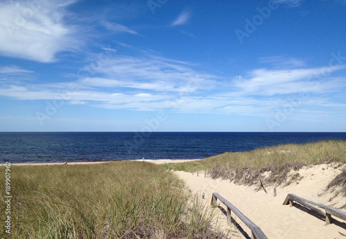 View of sand beach access framed by beachgrass at Race Point Beach near Provincetown  Massachusetts  USA with blue sky and ocean on a sunny day