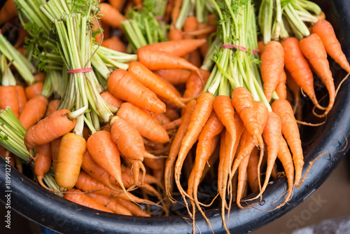 Group of fresh baby carrots in morning market.Thailand.