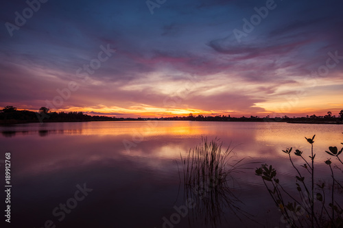 Grass flower on sunset landscape