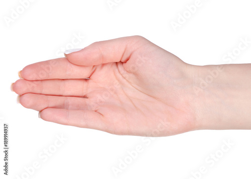 Female hand palm