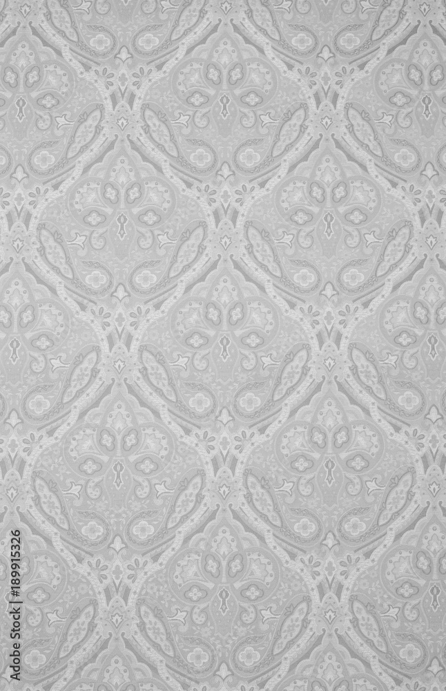 Textured Fabric Background with Floral Swirls and Paisley Designs Textured Fabric Background with Floral Swirls and Paisley Designs
