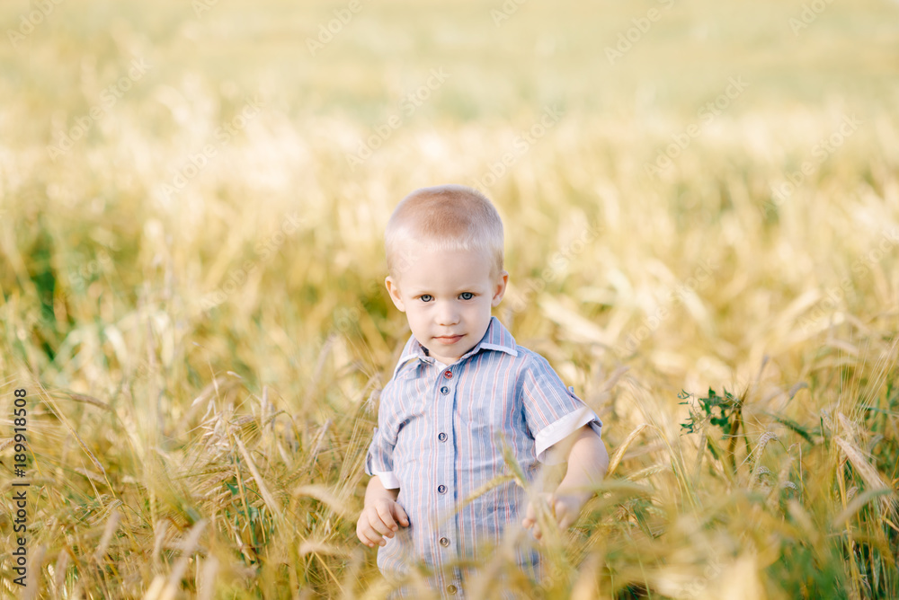 the small child walks one across the field the small child walks one across the field