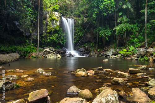 Curtis Falls a popular waterfall in Tamborine National Park on Mount Tamborine in the Gold Coast Hinterland, Queensland, Australia