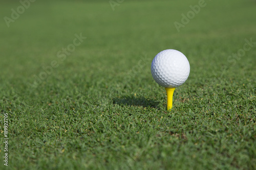 golf ball on a tee on a green grass