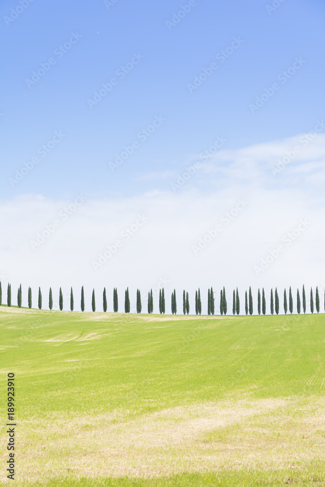Obraz premium Tuscany landscape