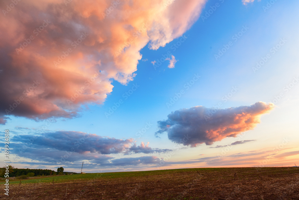 Fototapeta premium Beautiful cloudy sunset over the field