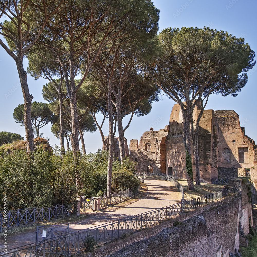 Roman Forum Garden Rome Italy