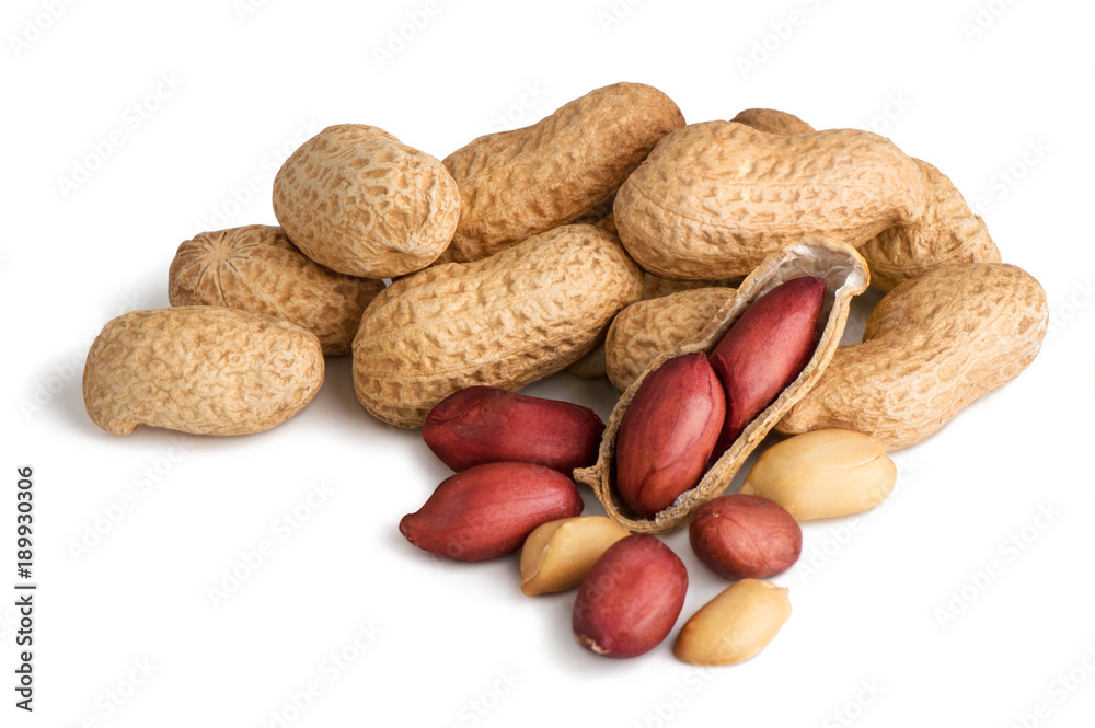 Peanuts isolated on the white background Peanuts isolated on the white background