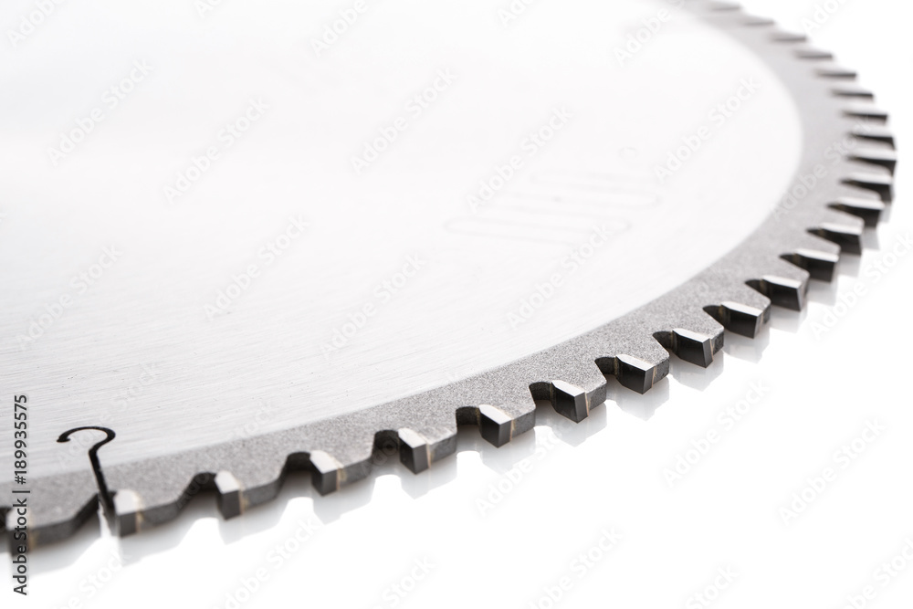 Circular saw teeth on a white background Circular saw teeth on a white background