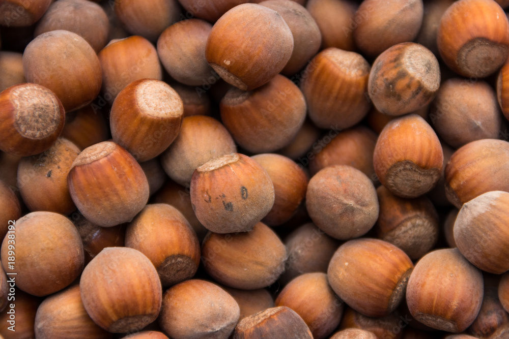 Food background of the hazelnuts. Fresh filbert close-up Food background of the hazelnuts. Fresh filbert close-up