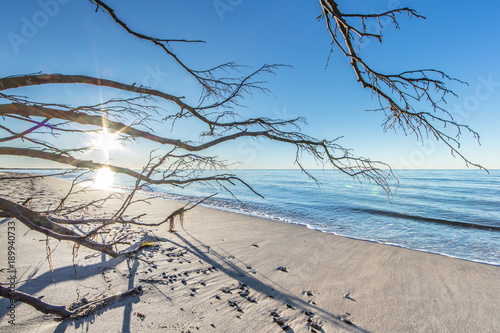 naturstrand photo