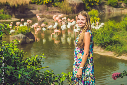 Woman on a background of flamingos on a pond photo
