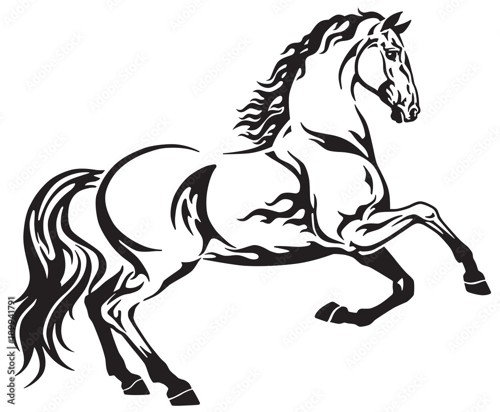 Horse tribal tattoo. Black and white side view vector illustration Stock  Vector | Adobe Stock
