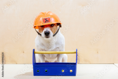 Fototapeta Naklejka Na Ścianę i Meble -  Funny builder with toolbox wearing orange hardhat