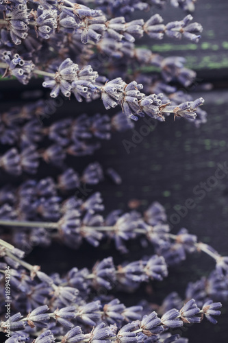 Lavender dried flowers. Space for text. Spa and relax concept.