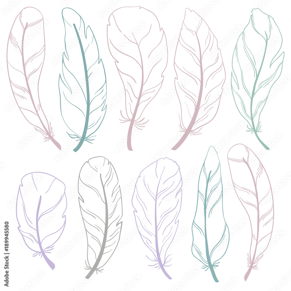 The different feathers are painted outline on a white background. Painted in delicate colors.