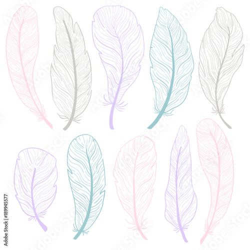 The different feathers are painted outline on a white background. Painted in delicate colors.