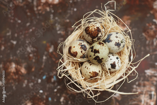 Top View of Quail Eggs in Nest Isolated on Rusty Background with copy Paste. Easter Decorations. Spring Time. photo