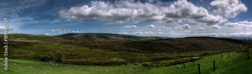 Dathmoor in England- panoramic Landscape