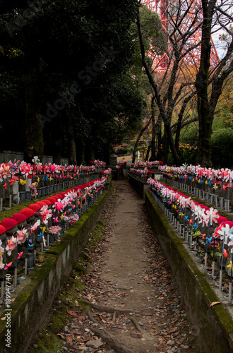 Buddha street