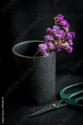 Dry flowers in a vase on a dark background.