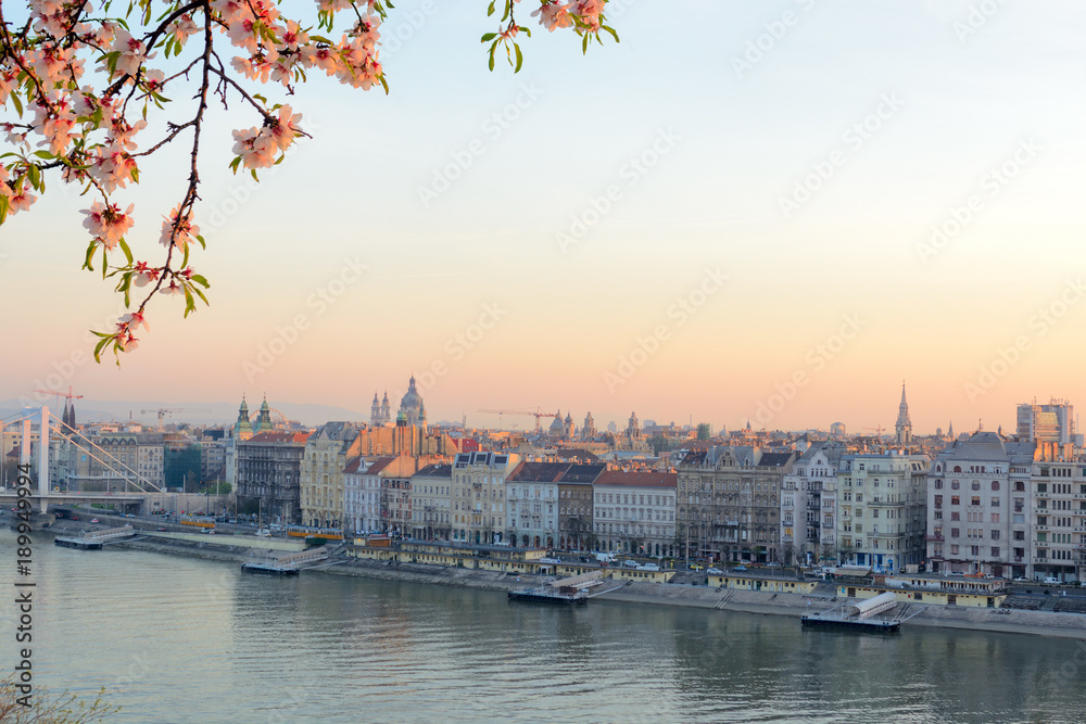 Pest side of Budapest city morning view with blooming tree branch