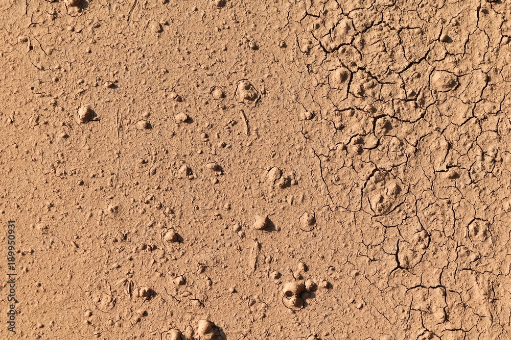 surface broken brown soil for background surface broken brown soil for background