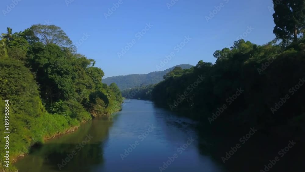 Aerial view over the calm river in jungle Sri Lanka drone footage Aerial view over the calm river in jungle Sri Lanka drone footage