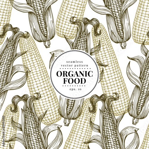 Vector seamless pattern with corn on the cob with leaves. Vintage engraved illustration. Botanical banner template with corn. Hand drawn background.