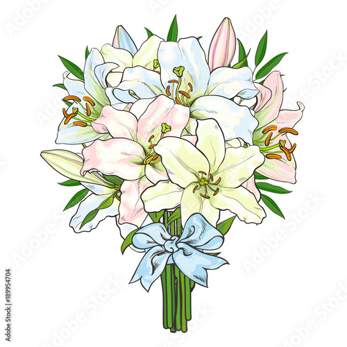 Big bunch, bouquet of lily flowers tied up with light blue ribbon, sketch style, hand drawn vector illustration isolated on white background. Hand-drawn bunch of lily flowers tied up with ribbon