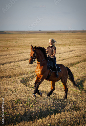 Horse, active recreation, sport and equestrian concept - sports woman on horse