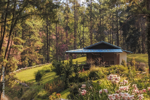 The Bungalow on the Mountain arond with Pine forest. Beautiful sunrise. Beautiful sunset.Doi Mae Taman is beautiful. photo