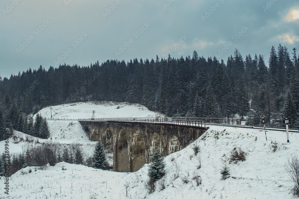 Obraz premium winter