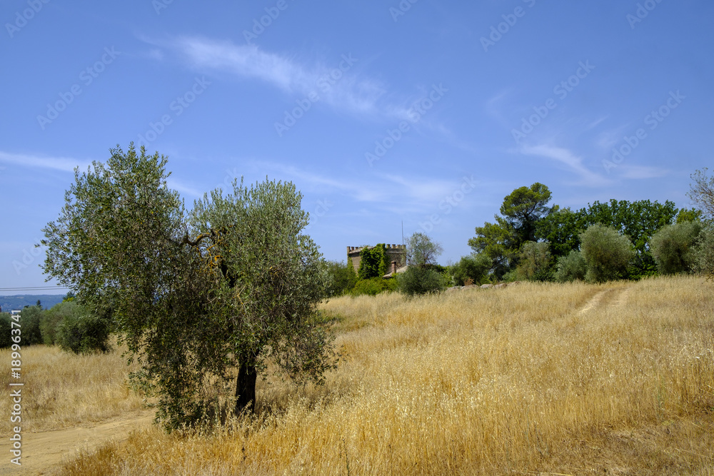 Country landscape from Orvieto to Todi, Umbria, Italy Country landscape from Orvieto to Todi, Umbria, Italy