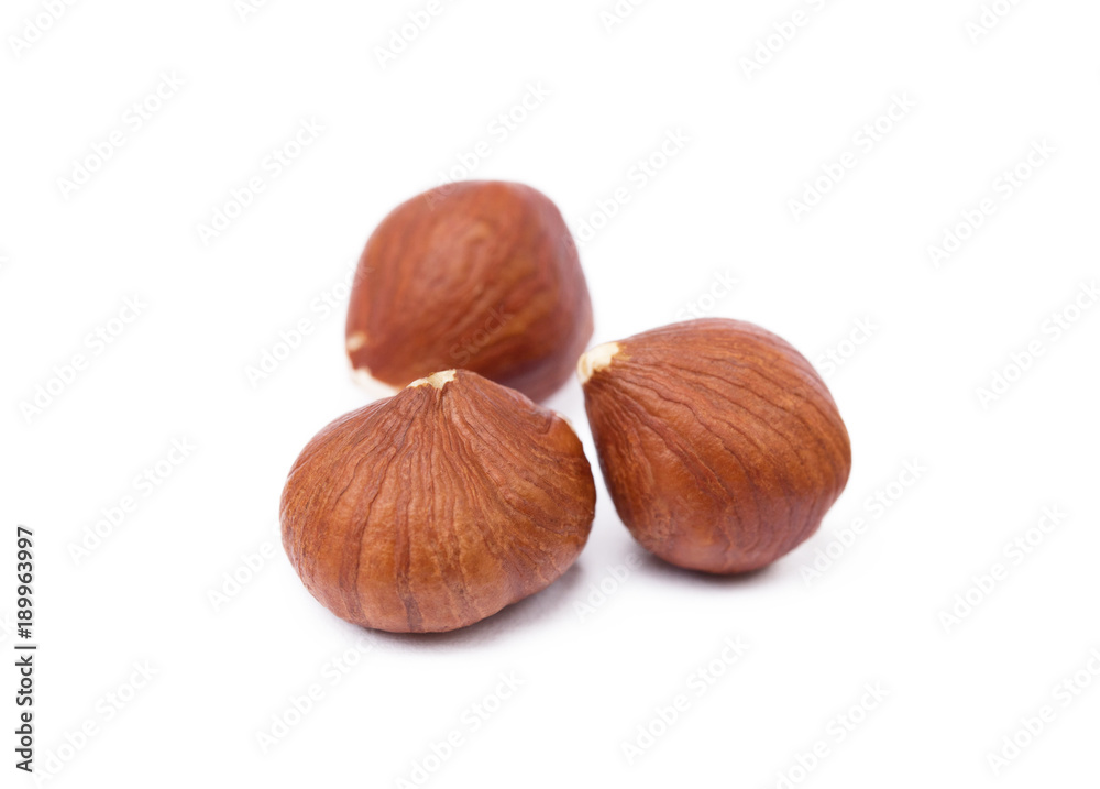 Group fresh hazelnuts isolated on white background Group fresh hazelnuts isolated on white background