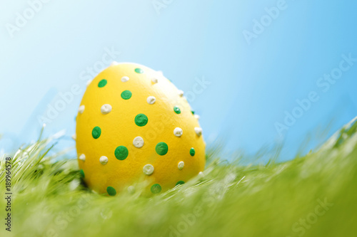 Easter egg in grass