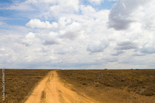 Serengeti National Park  Tanzanian national park in the Serengeti ecosystem in the Mara and Simiyu regions