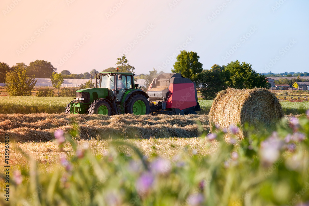 Obraz premium France > Paysage > Agriculture > Moisson