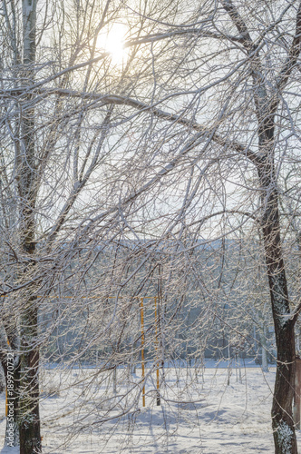 snowy Park in Sunny weather